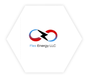 Flex Energy LLC logo