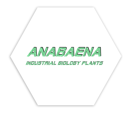 Anabaena logo