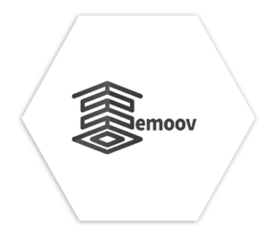 emoov LLC logo