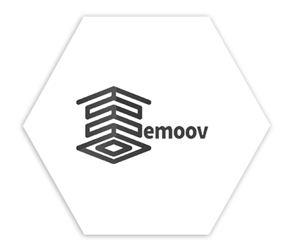 emoov LLC logo
